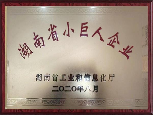湖南省小巨人企業